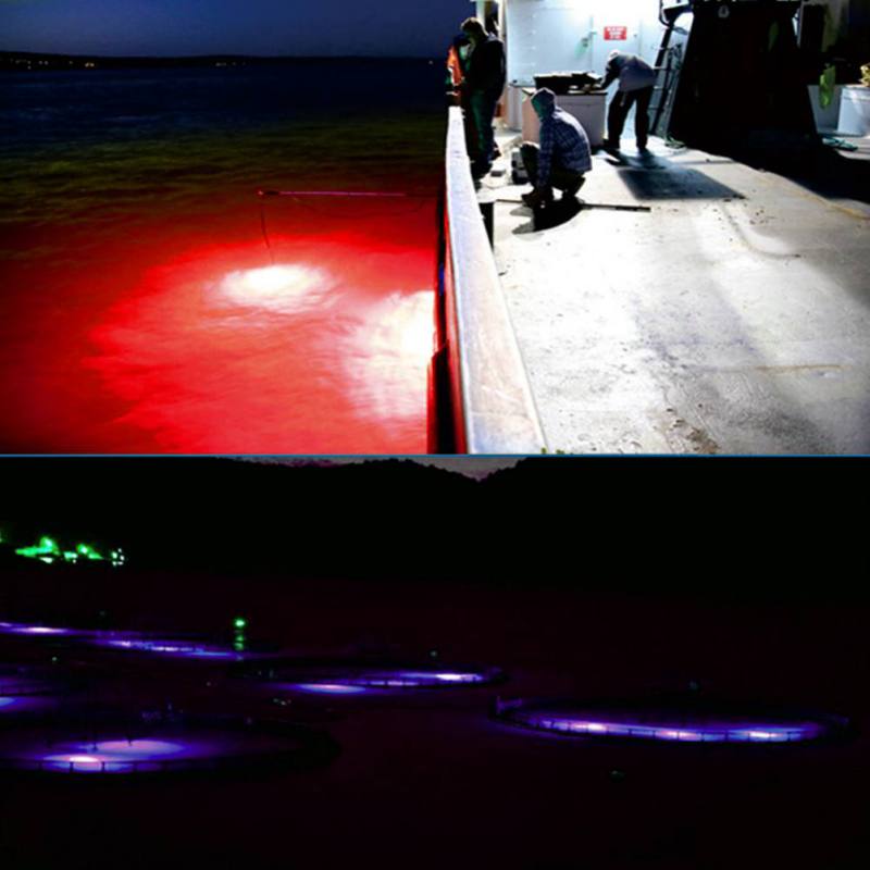 Mini Fishing Attraction Lamp G - Fishing Boat Navigation Light ulasan dan harga